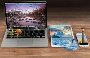 photo editor