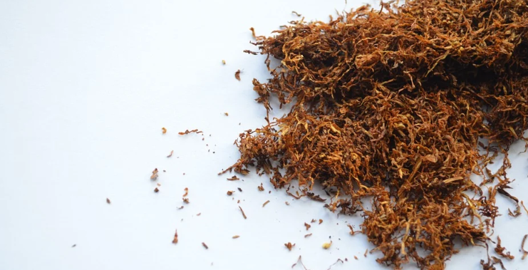 Dried Tobacco